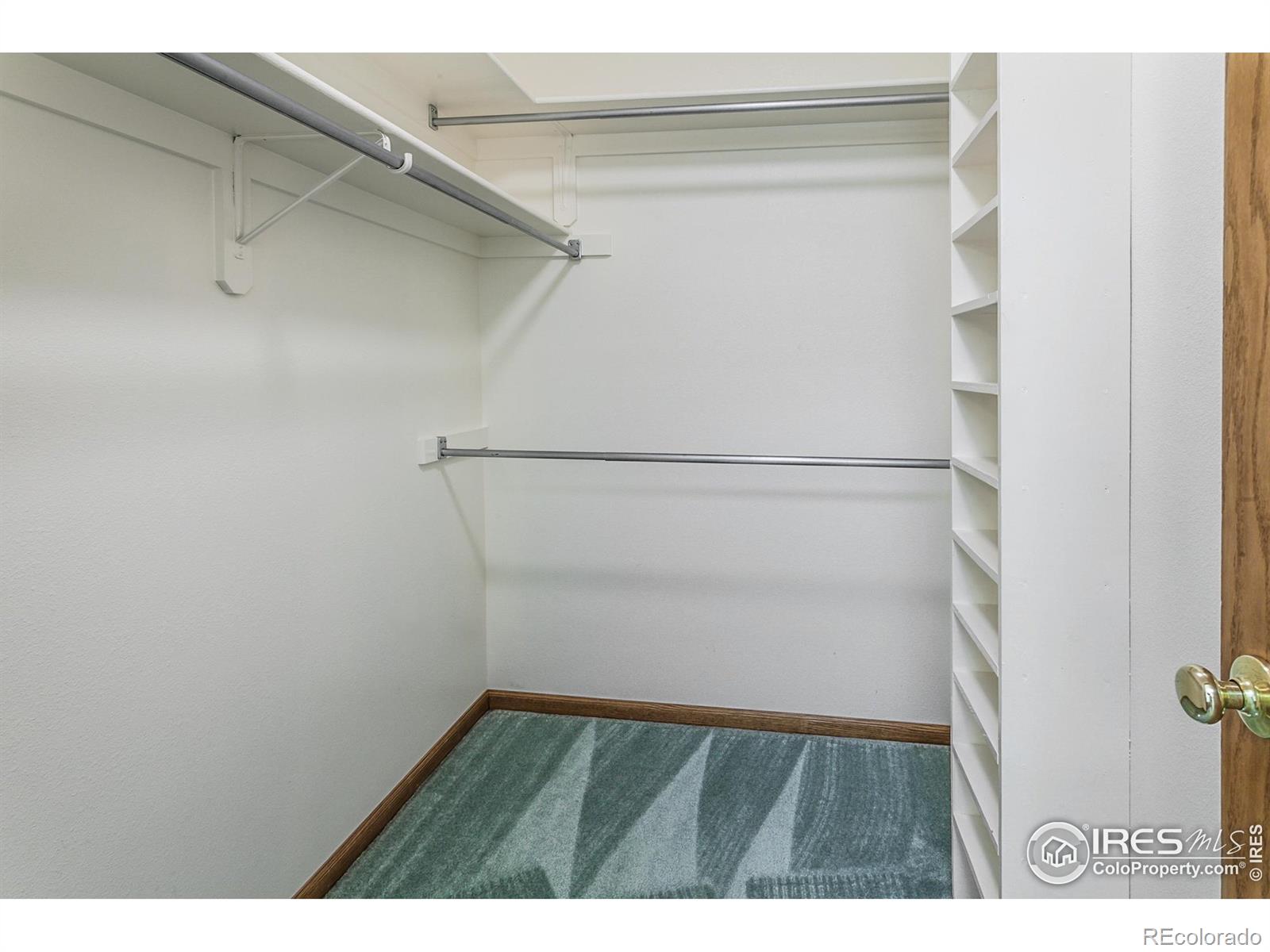 3500 Carlton Avenue Fort Collins CO 80525