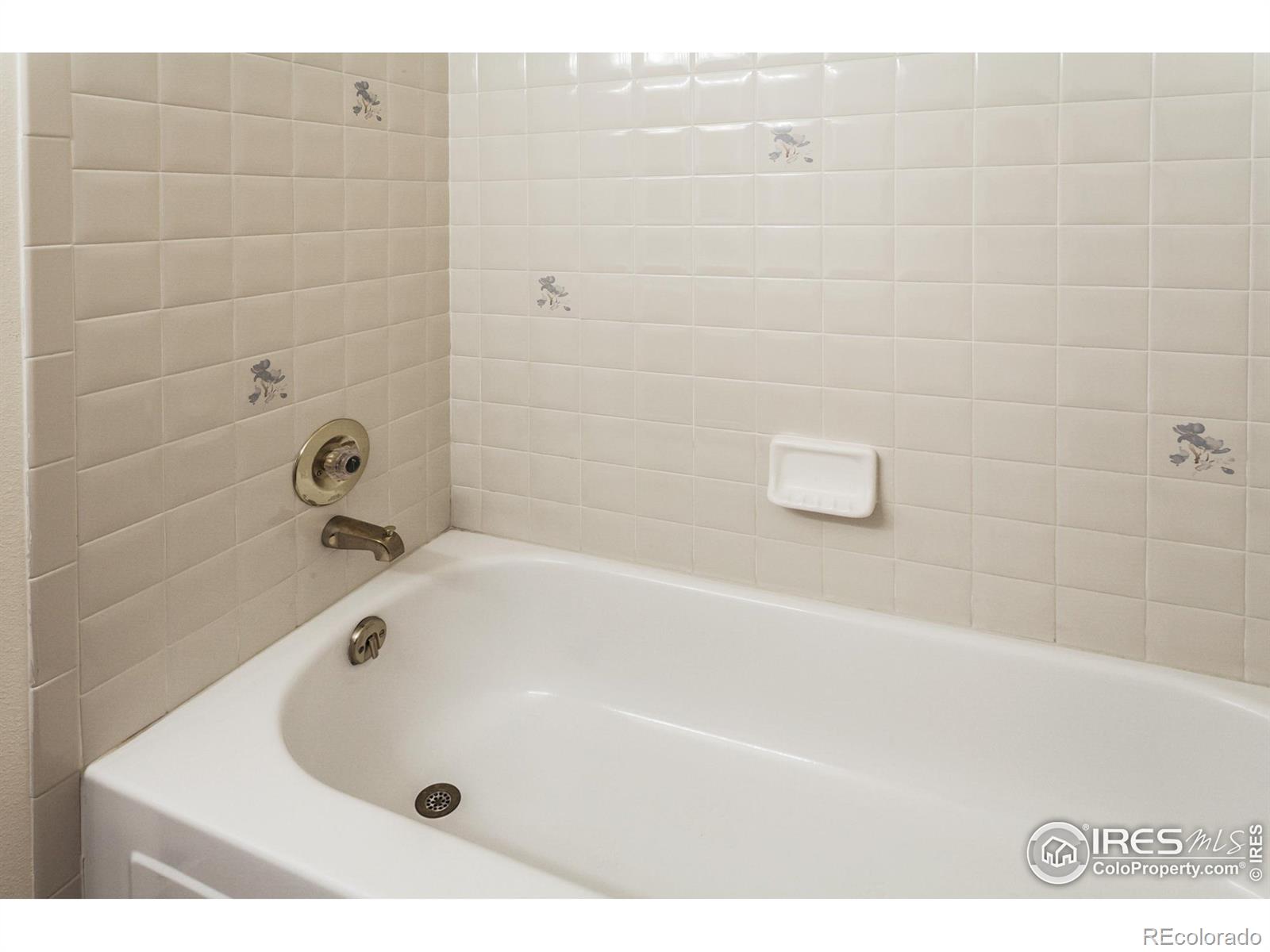 3500 Carlton Avenue Fort Collins CO 80525