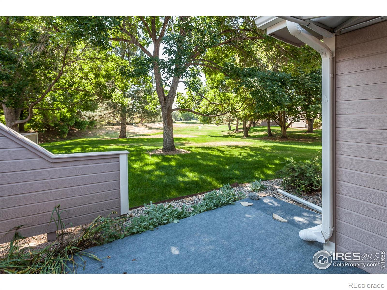 3500 Carlton Avenue Fort Collins CO 80525