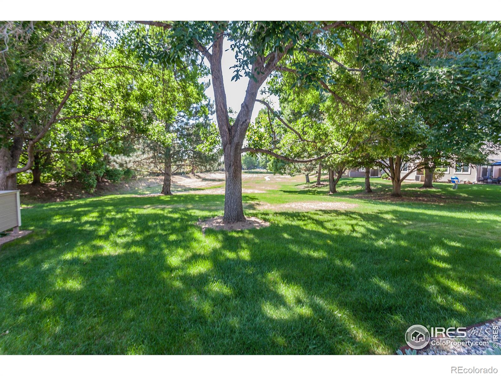 3500 Carlton Avenue Fort Collins CO 80525