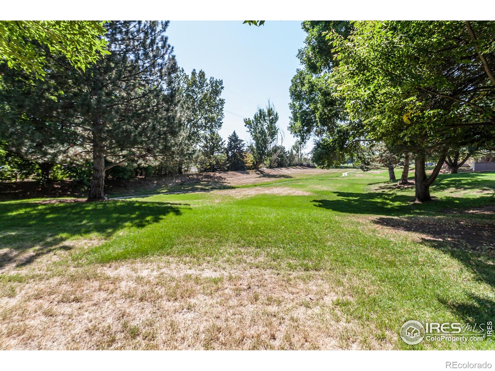 3500 Carlton Avenue Fort Collins CO 80525
