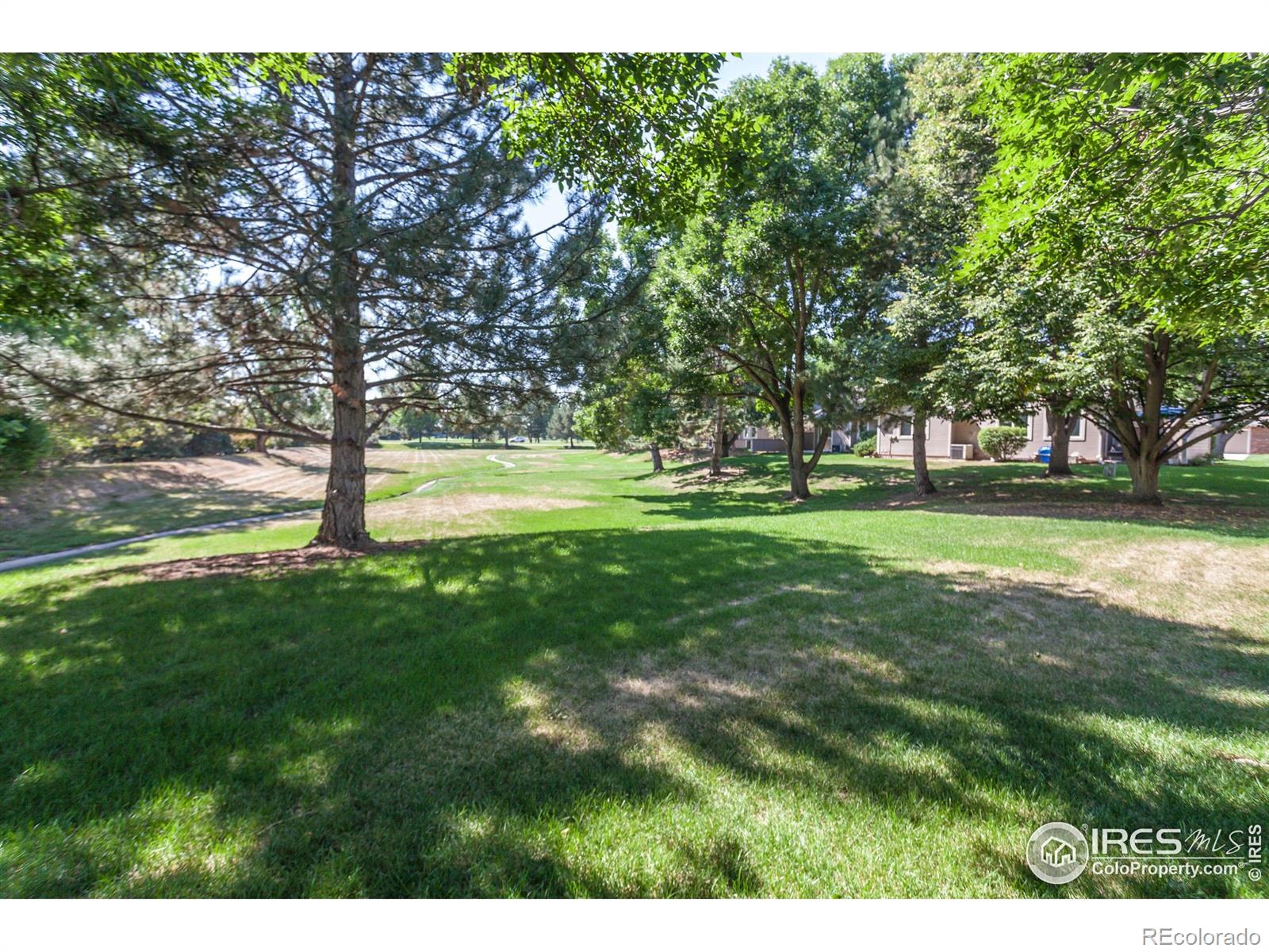 3500 Carlton Avenue Fort Collins CO 80525
