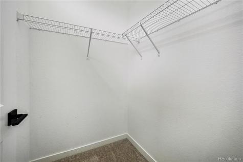 7917 Yampa River Avenue Littleton CO 80125