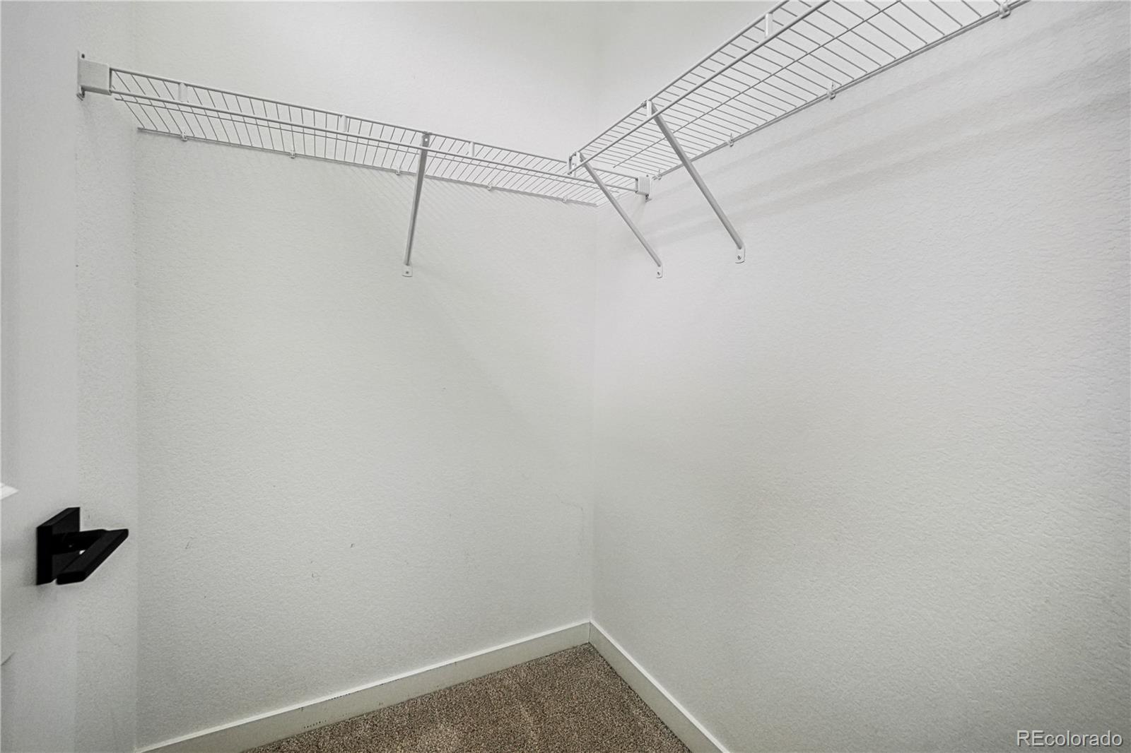 7917 Yampa River Avenue Littleton CO 80125