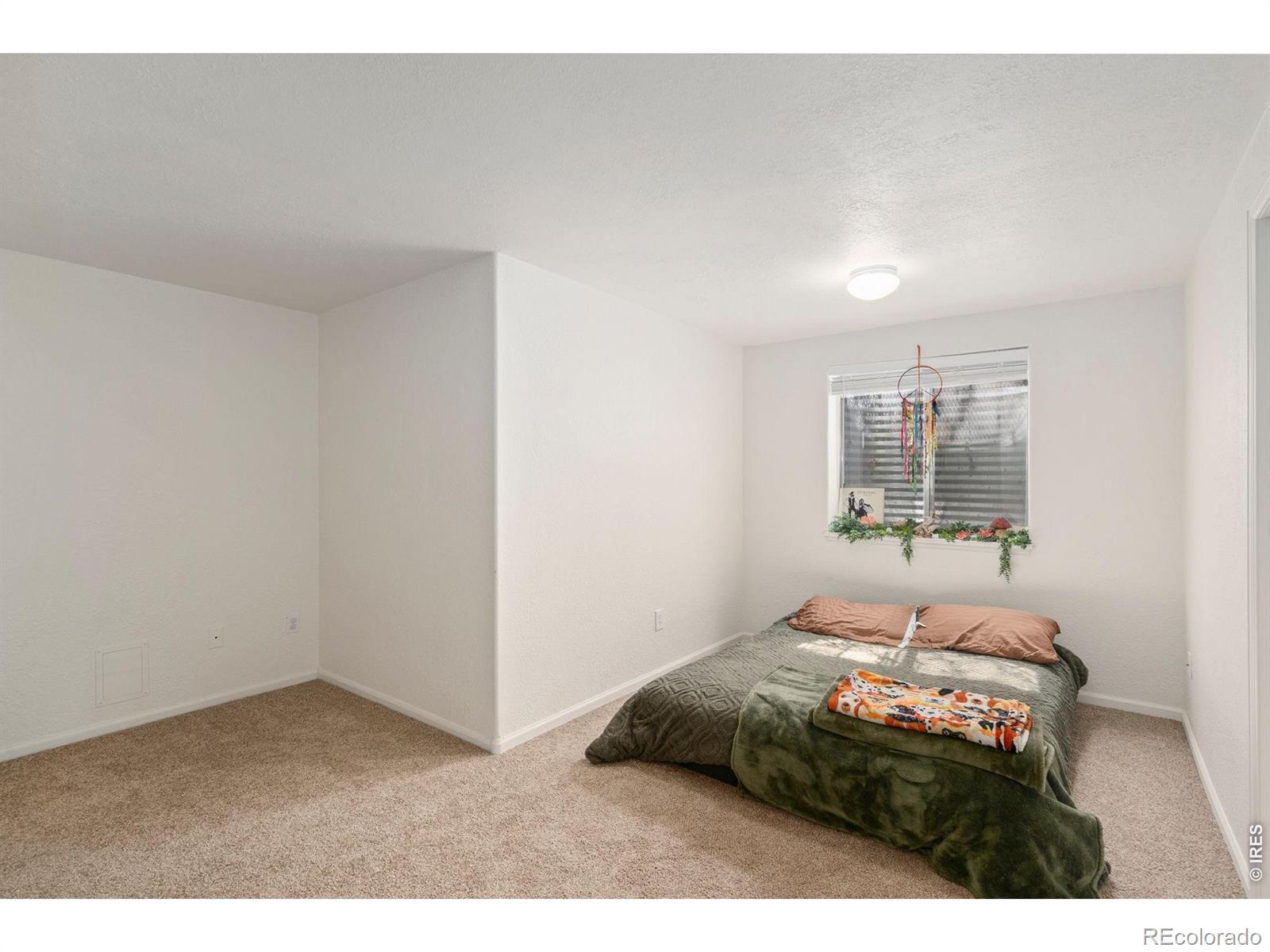 1136 Wabash Street Fort Collins CO 80526