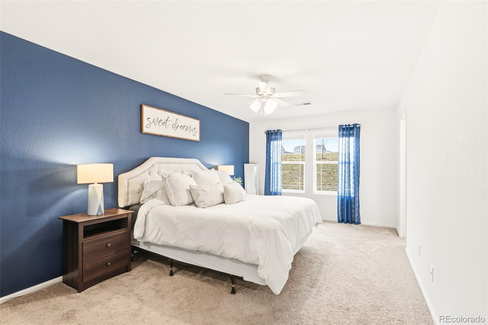 14047 Rock Daisy Street Parker CO 80134