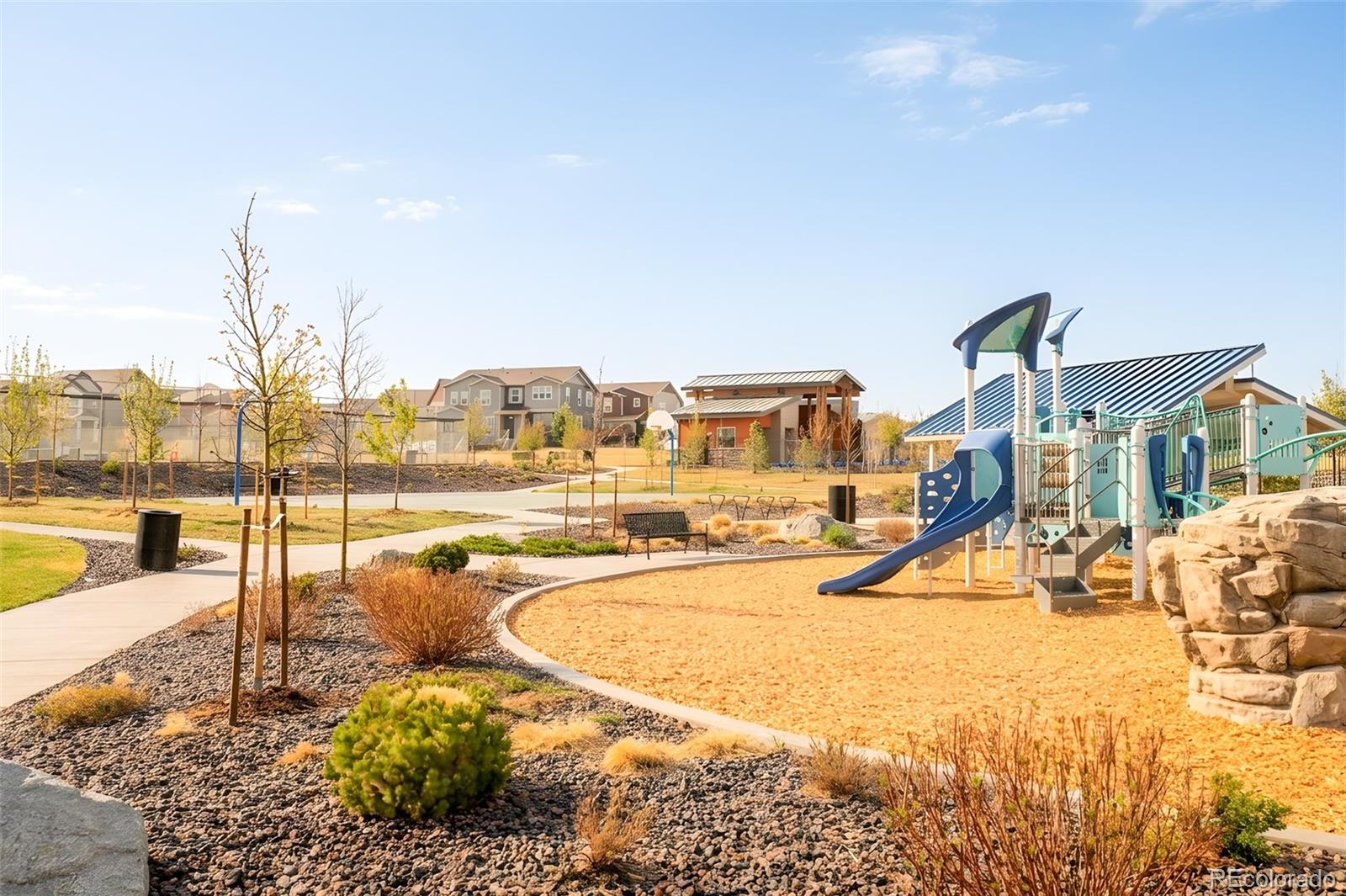 14047 Rock Daisy Street Parker CO 80134