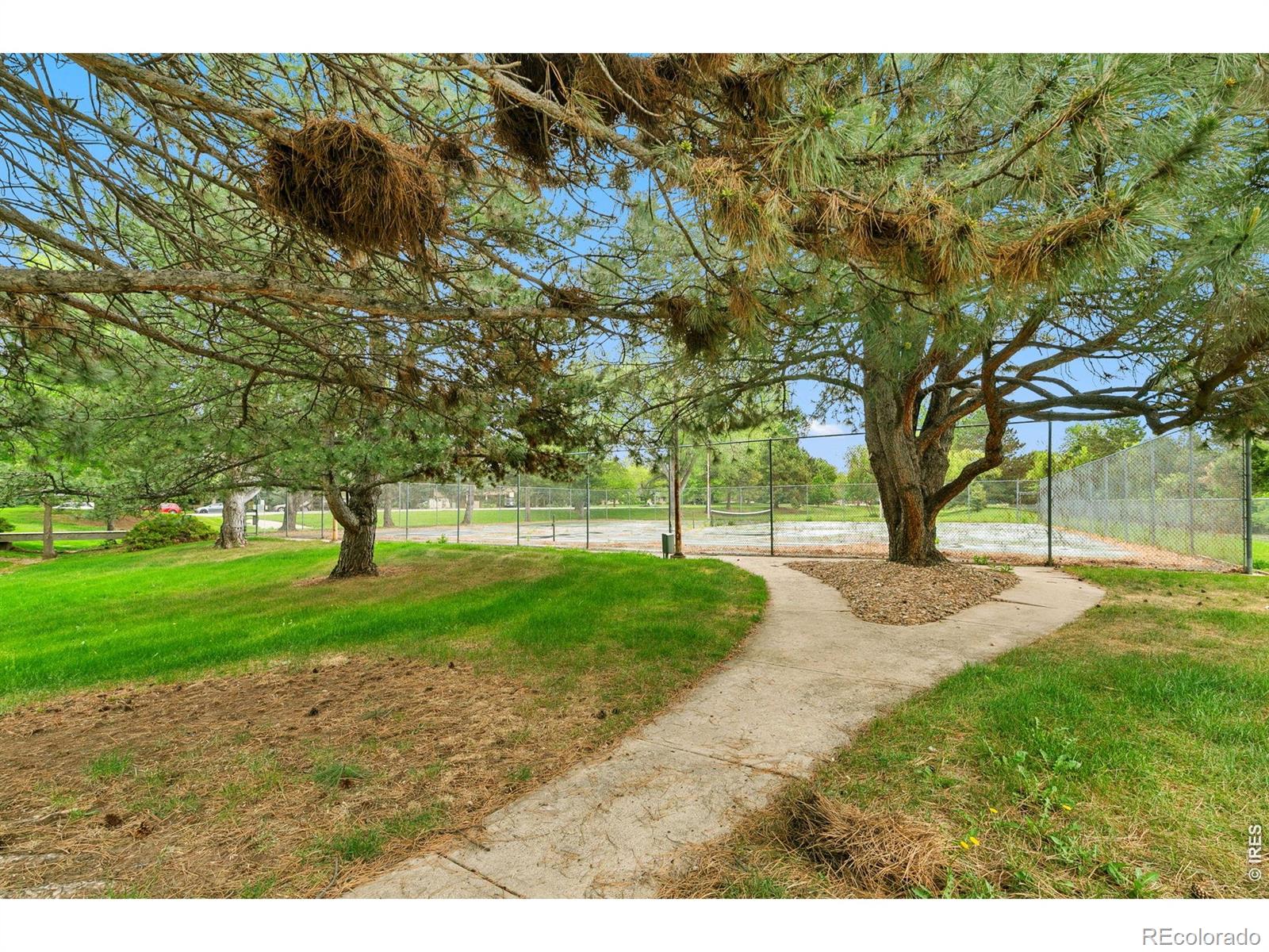 925 Columbia Road Fort Collins CO 80525