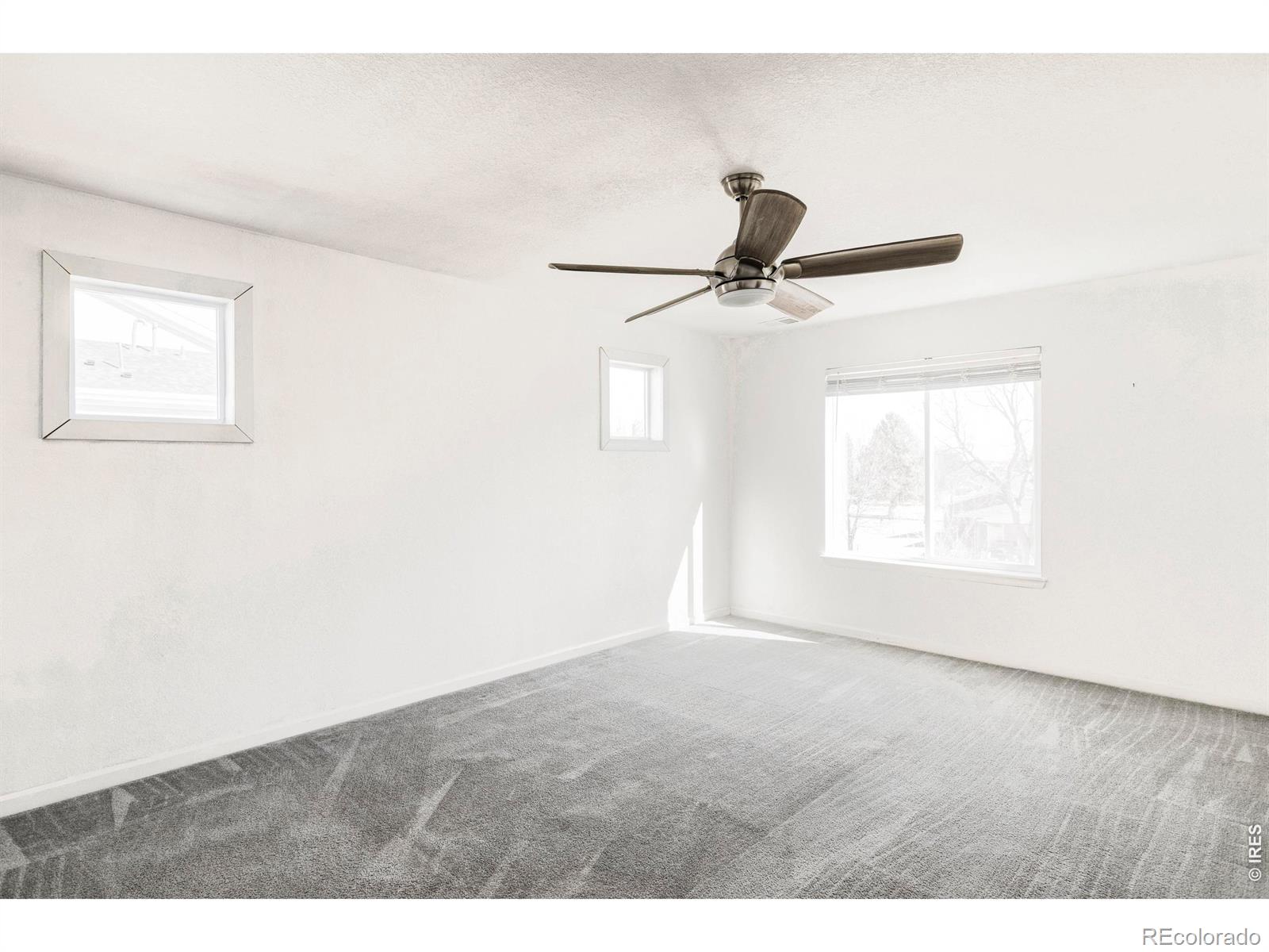 619 Stonebridge Drive Longmont CO 80503