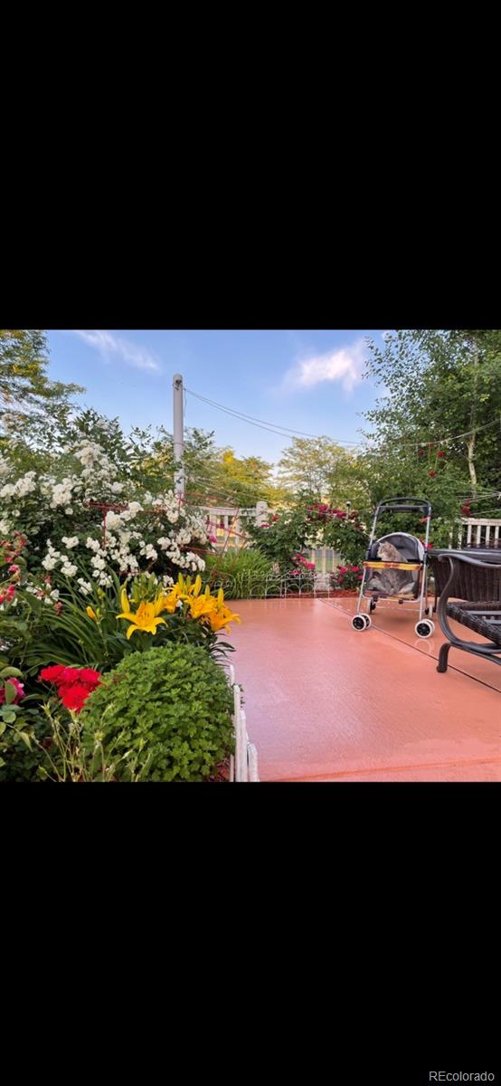 25 Lindenwood Circle Johnstown CO 80534