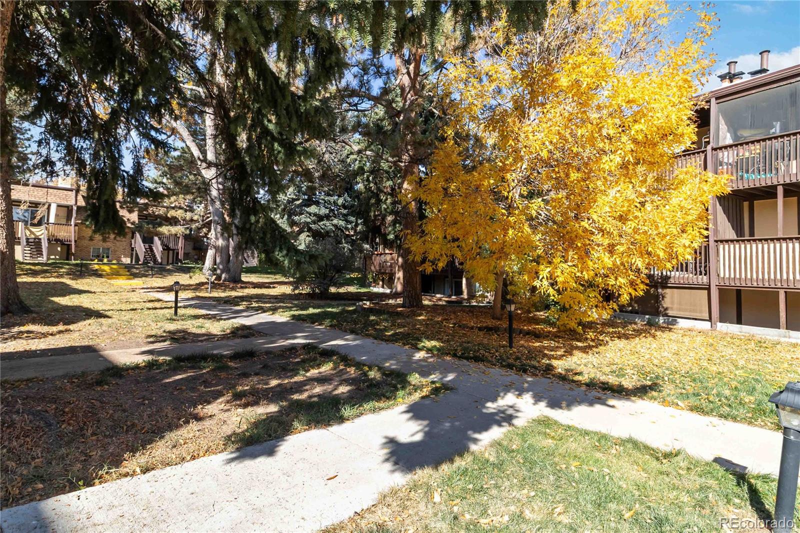 1390 Everett Court Lakewood CO 80215