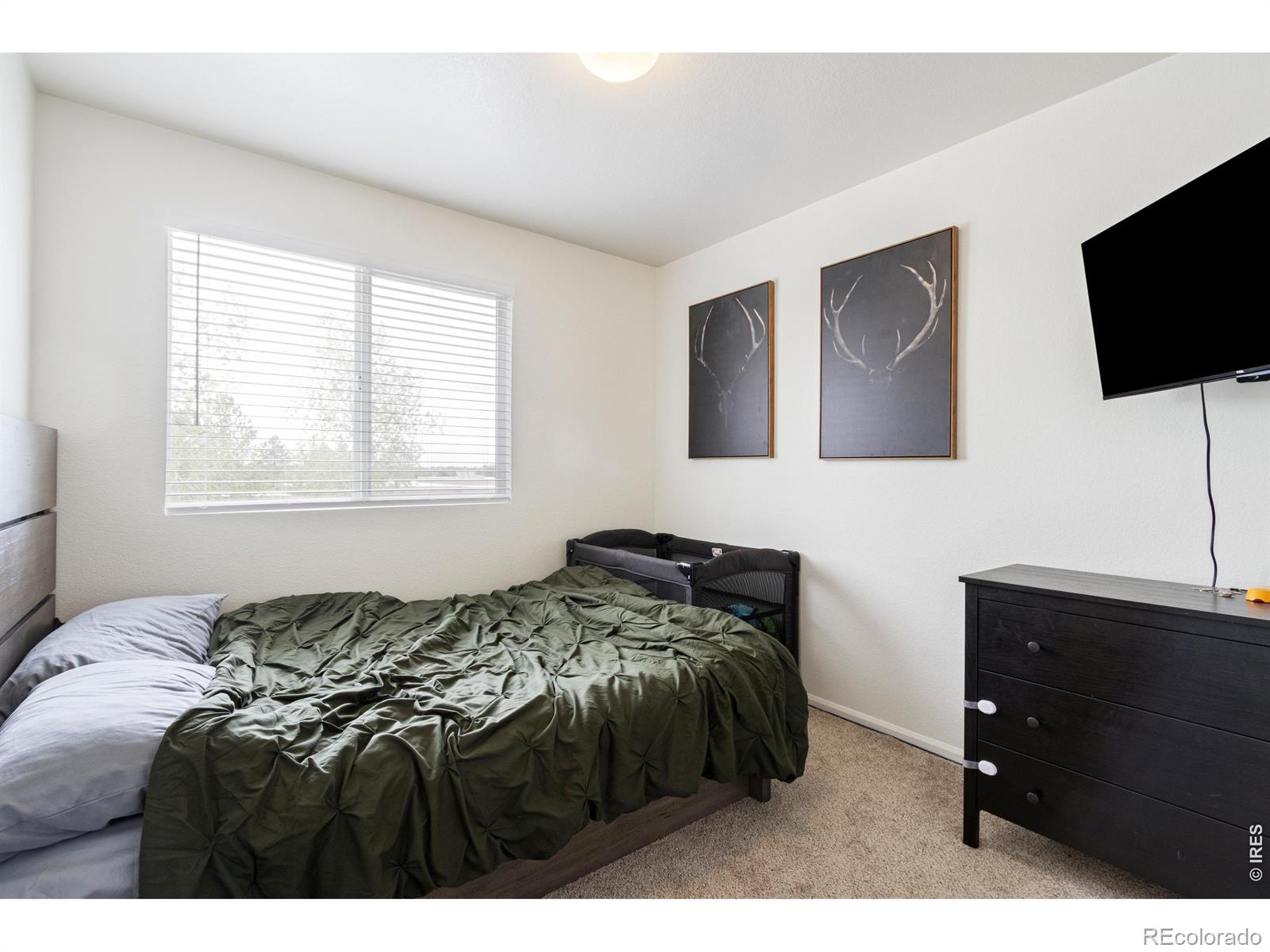 6615 Desert Willow Way Fort Collins CO 80525