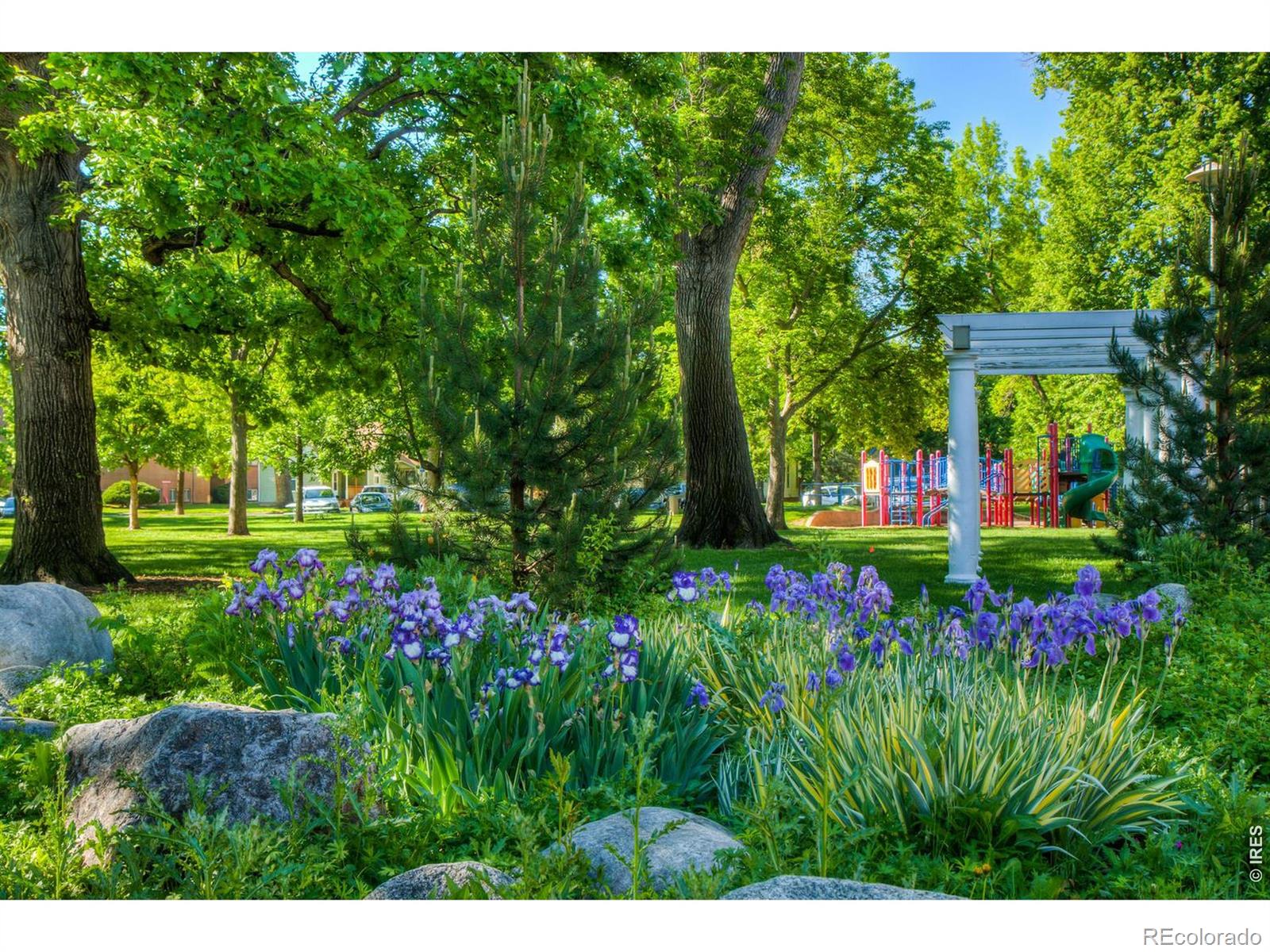 228 E Oak Street Fort Collins CO 80524