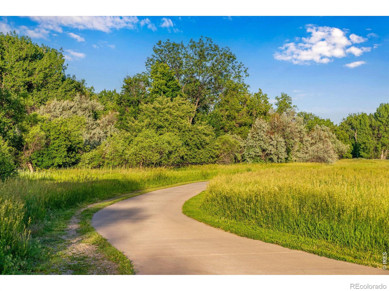 228 E Oak Street Fort Collins CO 80524