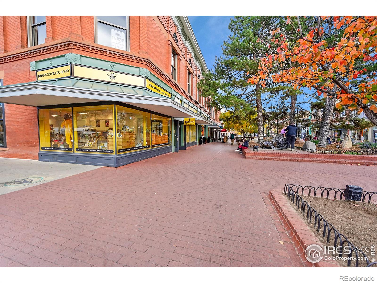 2033 11th Street Boulder CO 80302