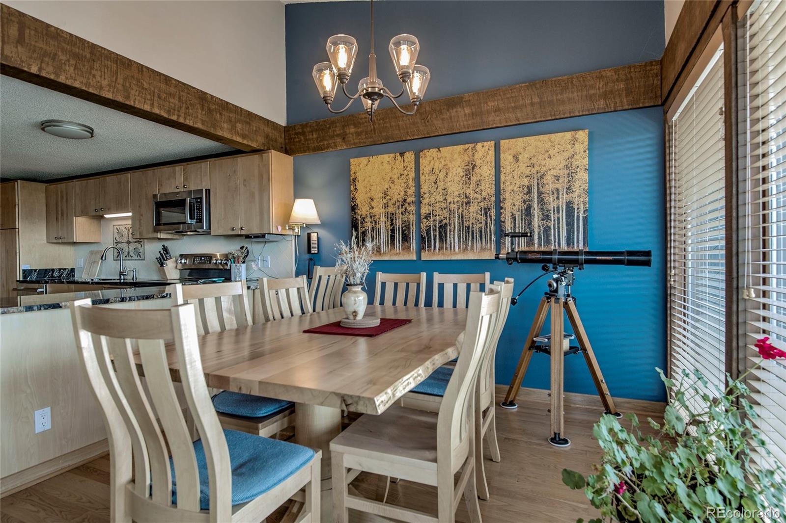 187 N Fuller Placer Road Breckenridge CO 80424