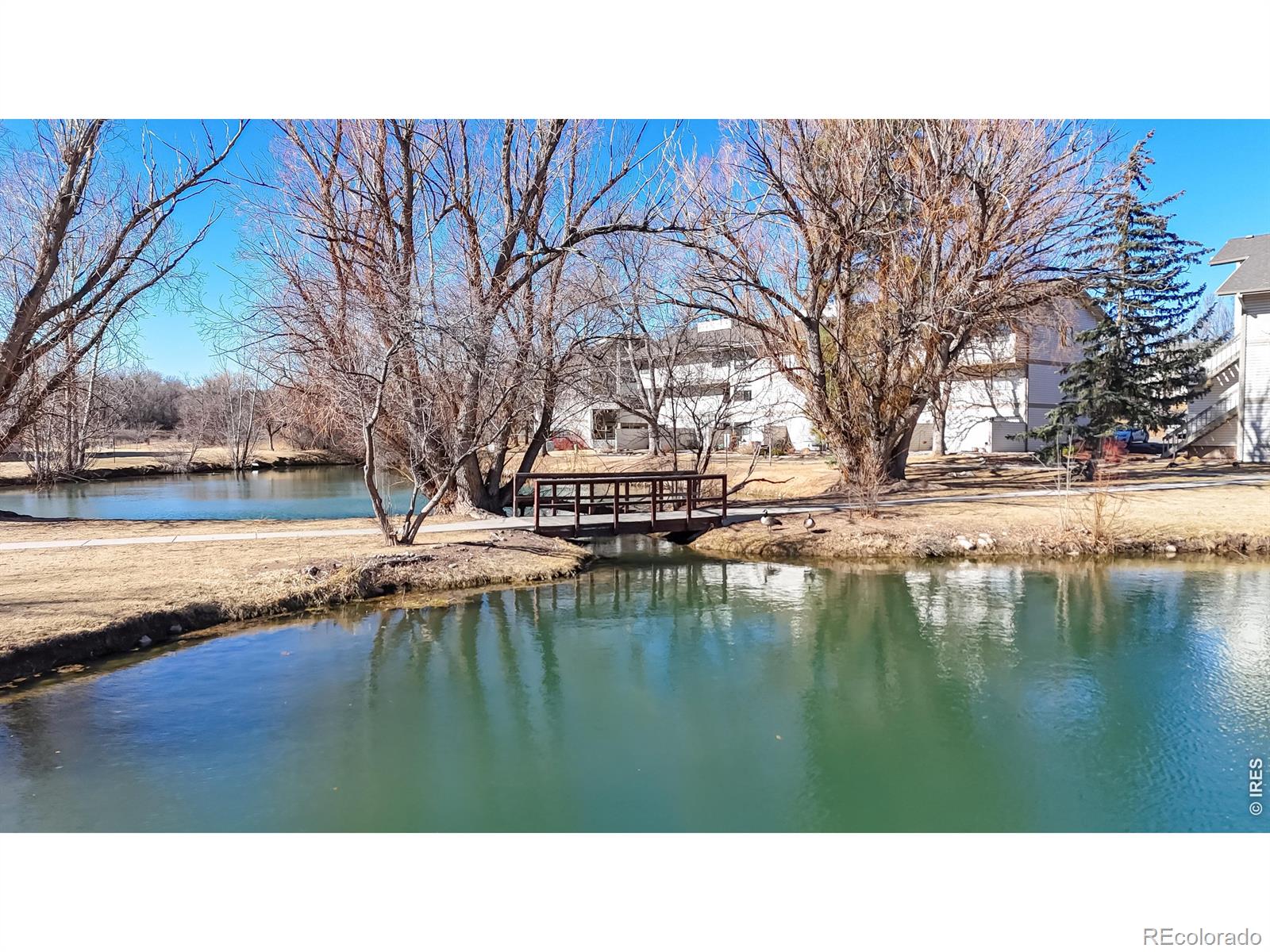 1705 Heatheridge Road Fort Collins CO 80526