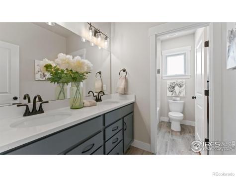 6227 Vernazza Way Windsor CO 80550
