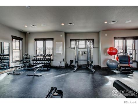 6227 Vernazza Way Windsor CO 80550