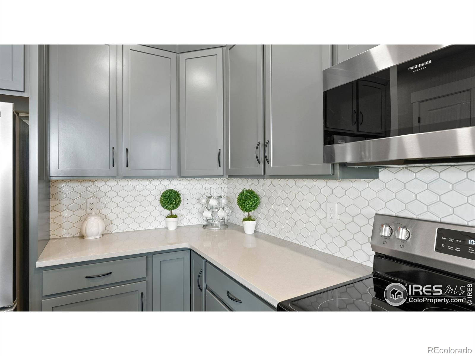 6227 Vernazza Way Windsor CO 80550