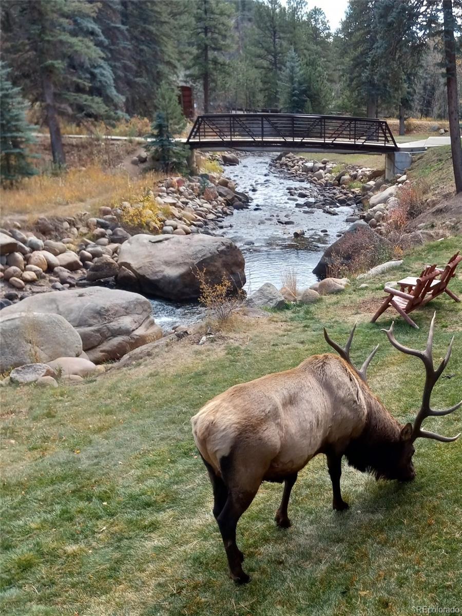 1400 David Drive Estes Park CO 80517
