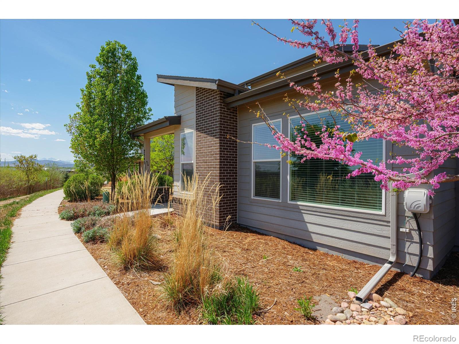 2245 Shandy Street Fort Collins CO 80524