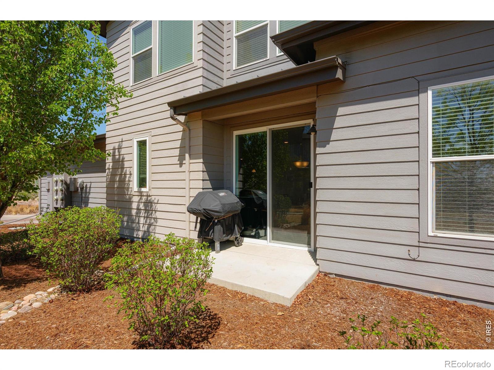 2245 Shandy Street Fort Collins CO 80524