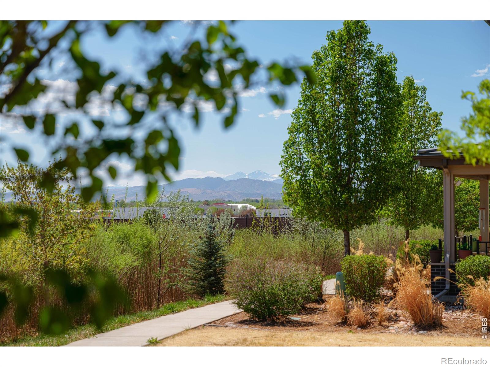 2245 Shandy Street Fort Collins CO 80524