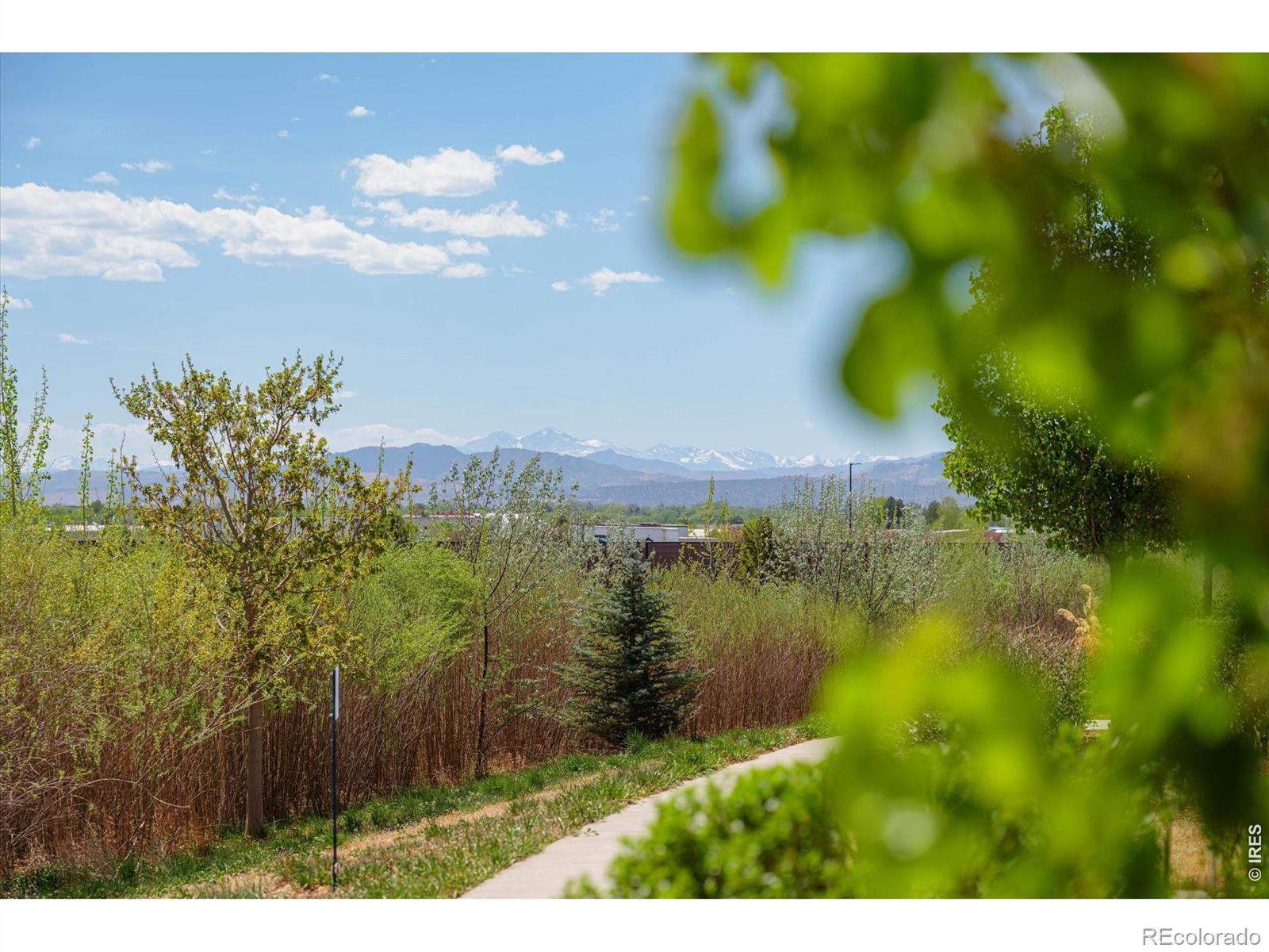 2245 Shandy Street Fort Collins CO 80524