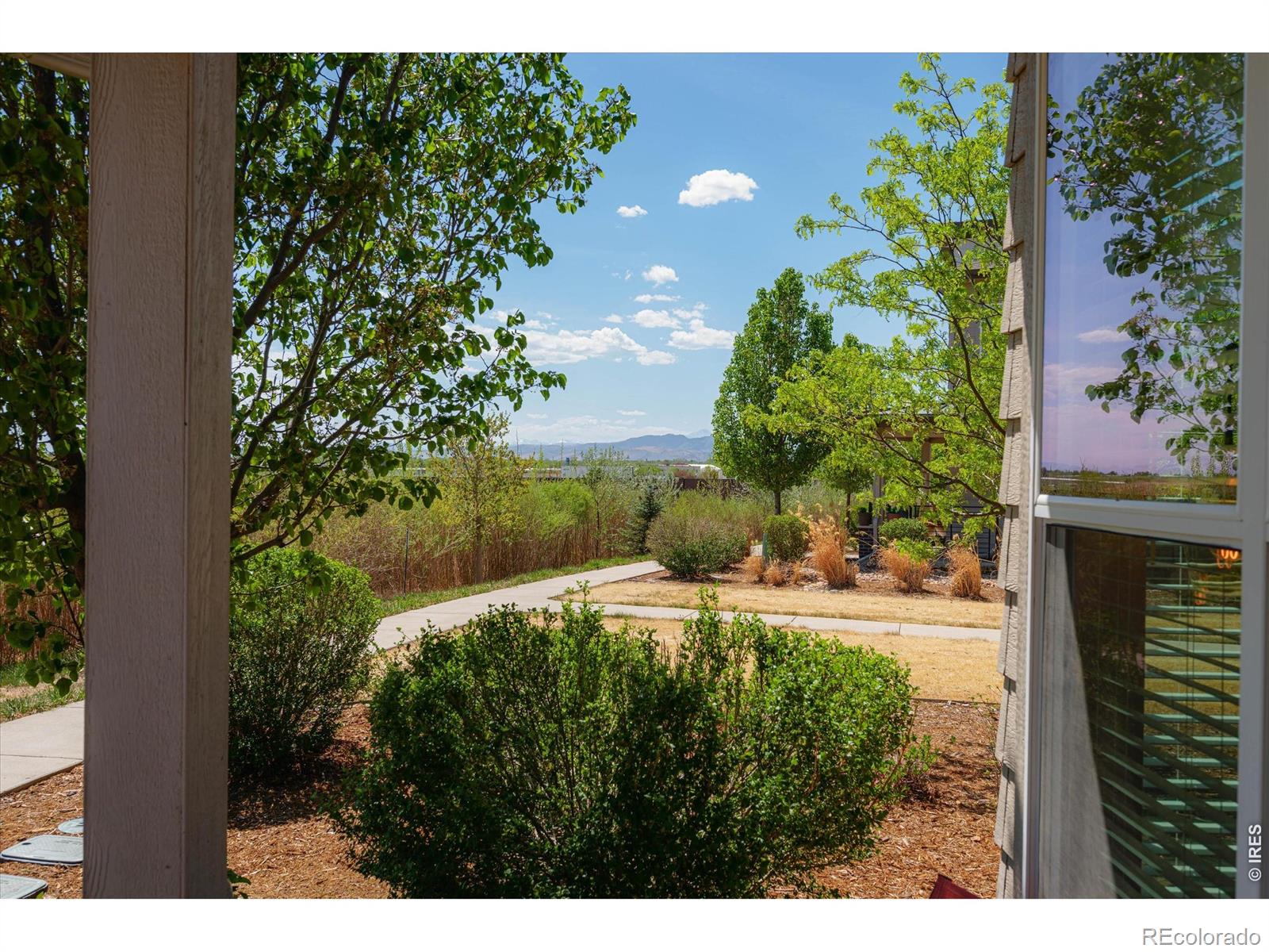 2245 Shandy Street Fort Collins CO 80524