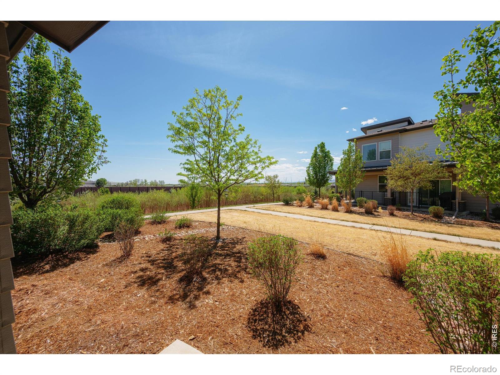 2245 Shandy Street Fort Collins CO 80524