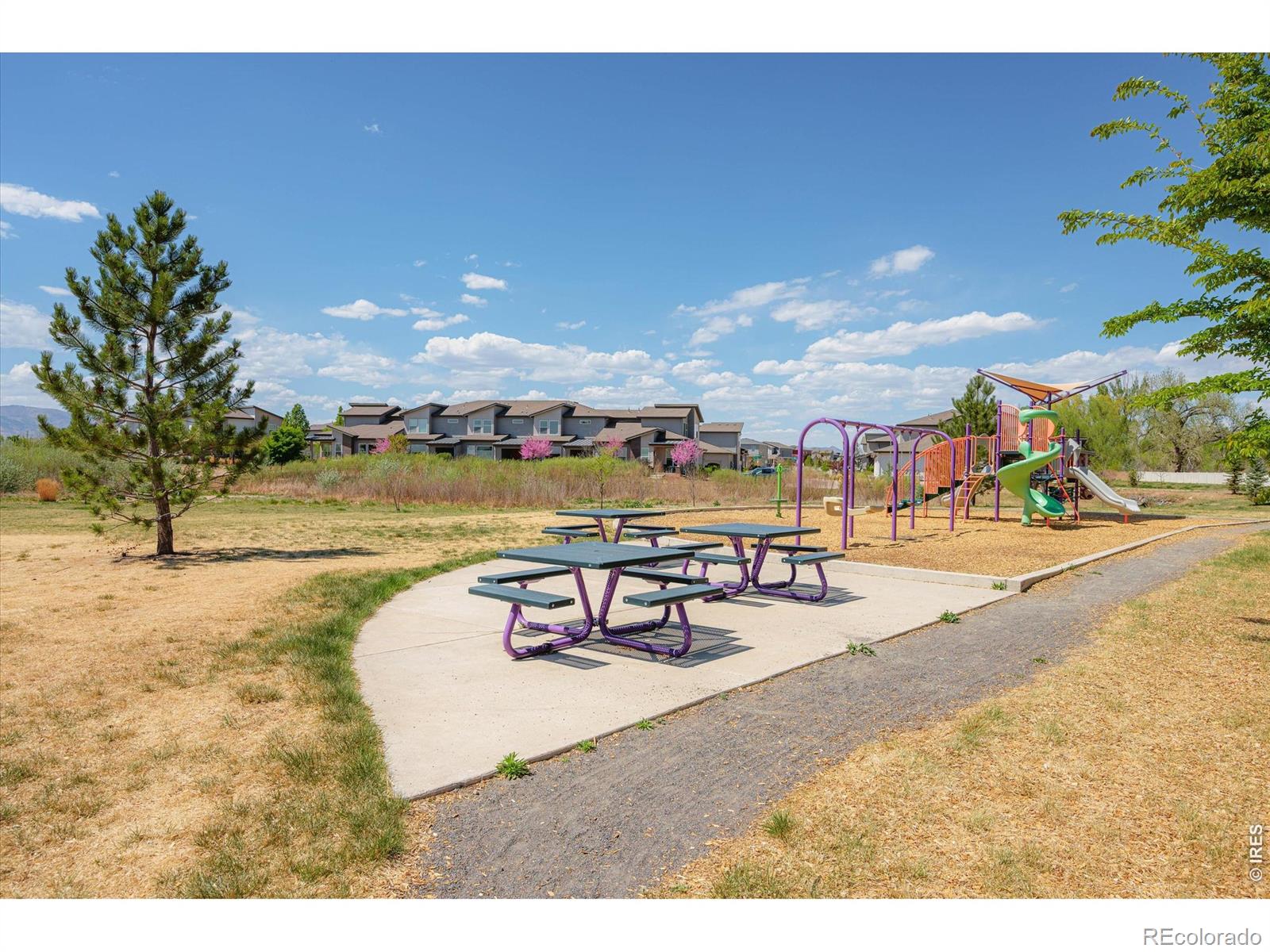 2245 Shandy Street Fort Collins CO 80524