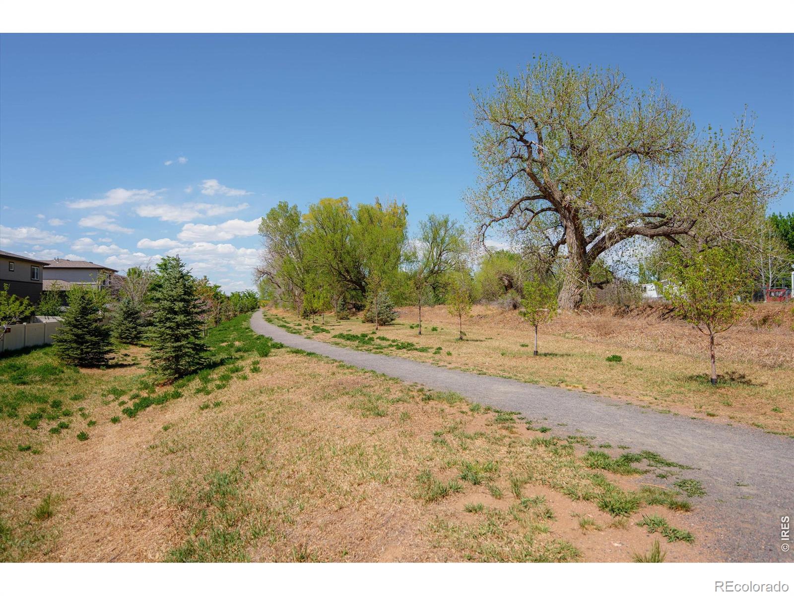 2245 Shandy Street Fort Collins CO 80524