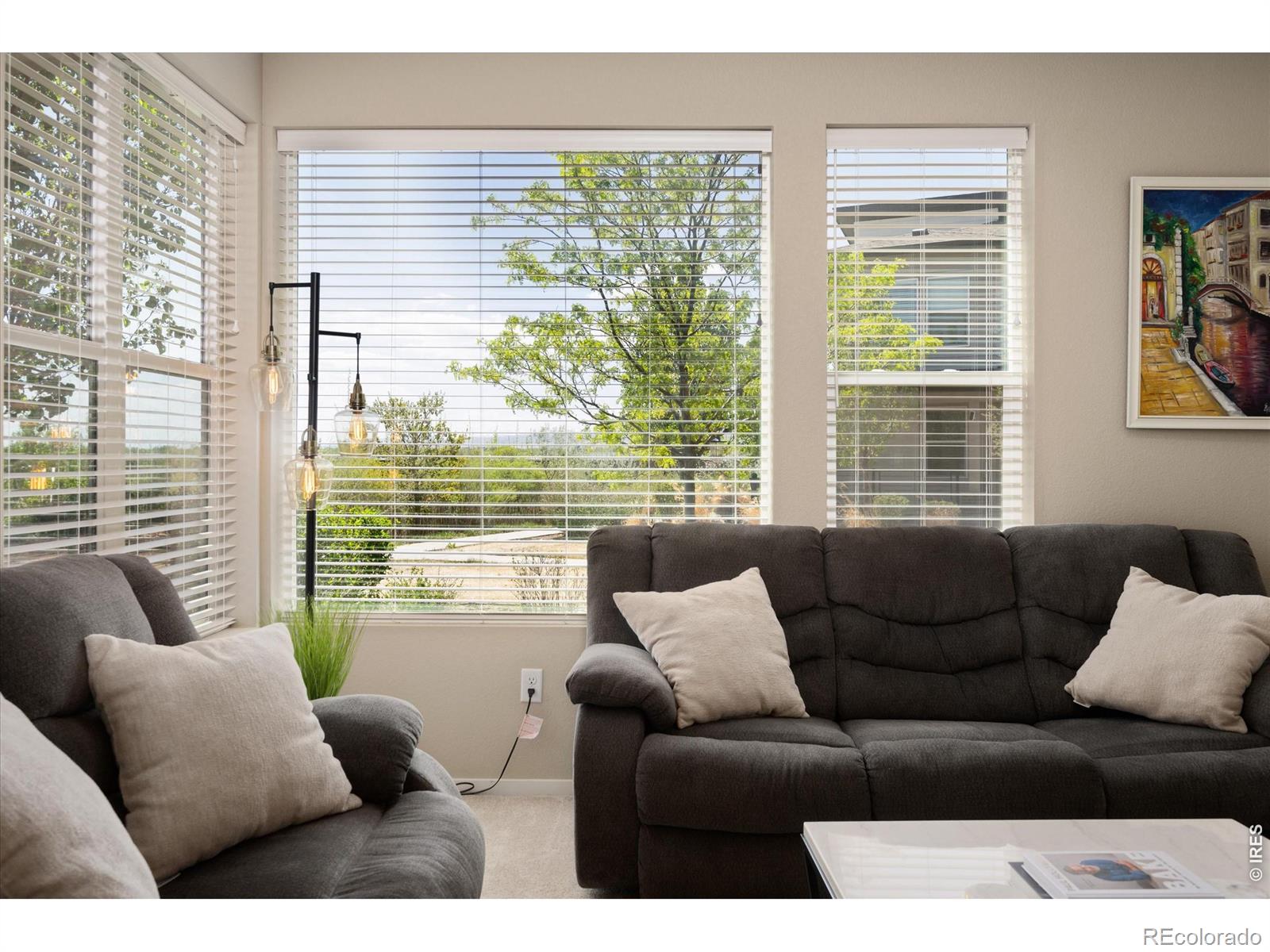 2245 Shandy Street Fort Collins CO 80524