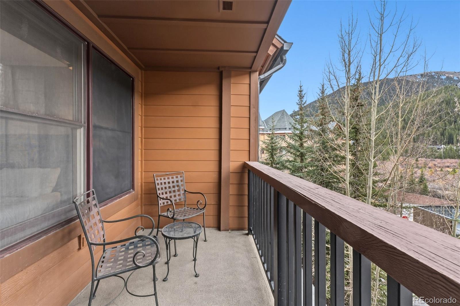 53 Hunki Dori Court Dillon CO 80435