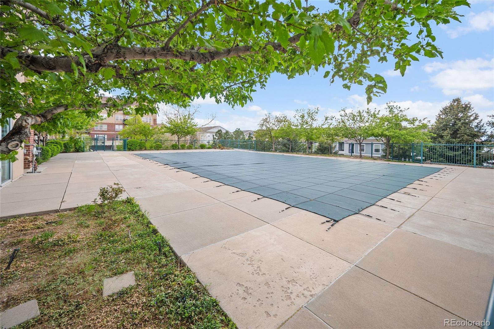 10176 Park Meadows Drive Lone Tree CO 80124