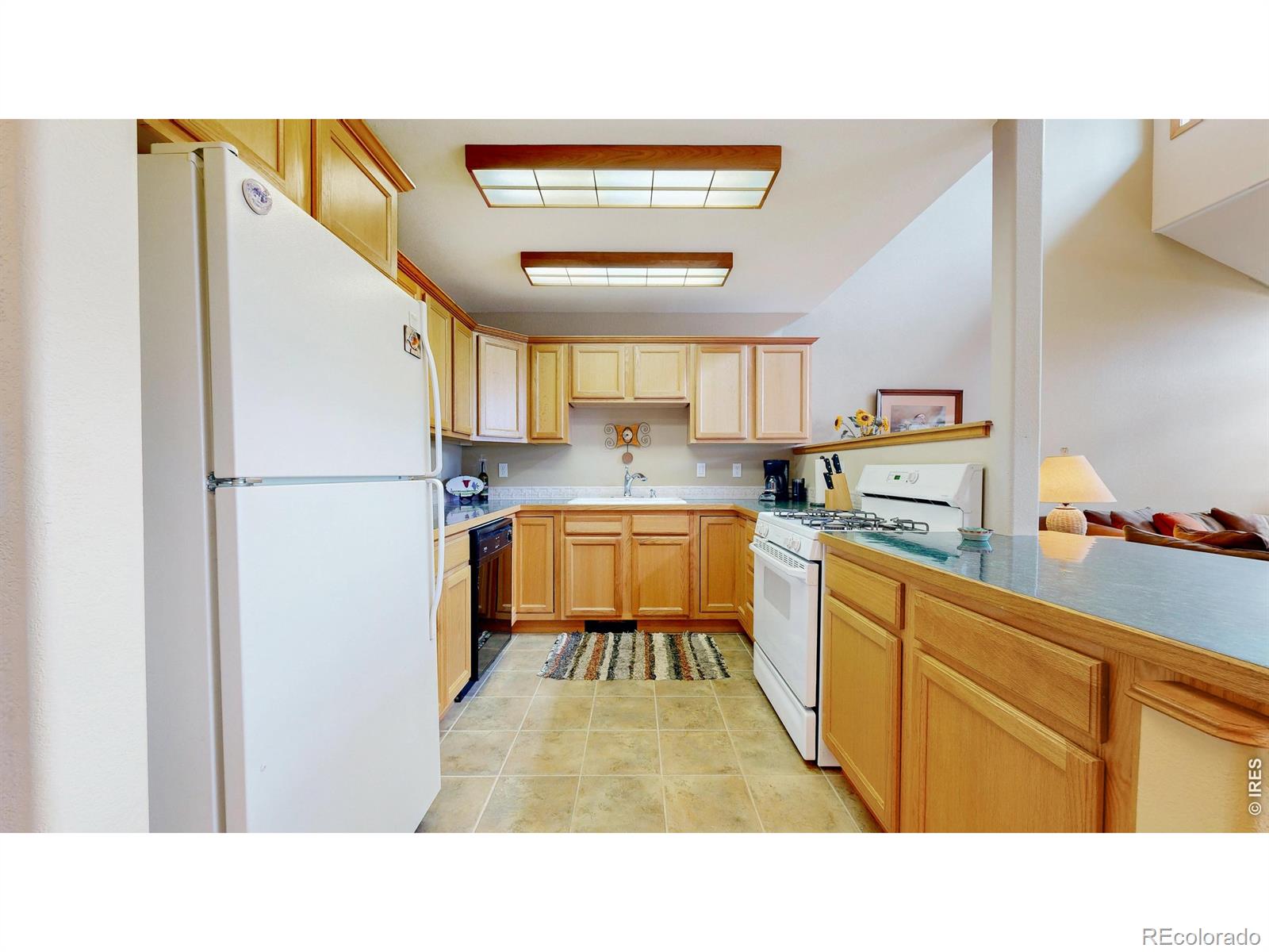 262 Steamer Court Estes Park CO 80517