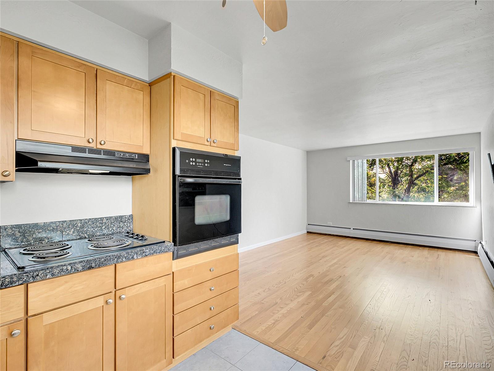 1056 N Marion Street Denver CO 80218
