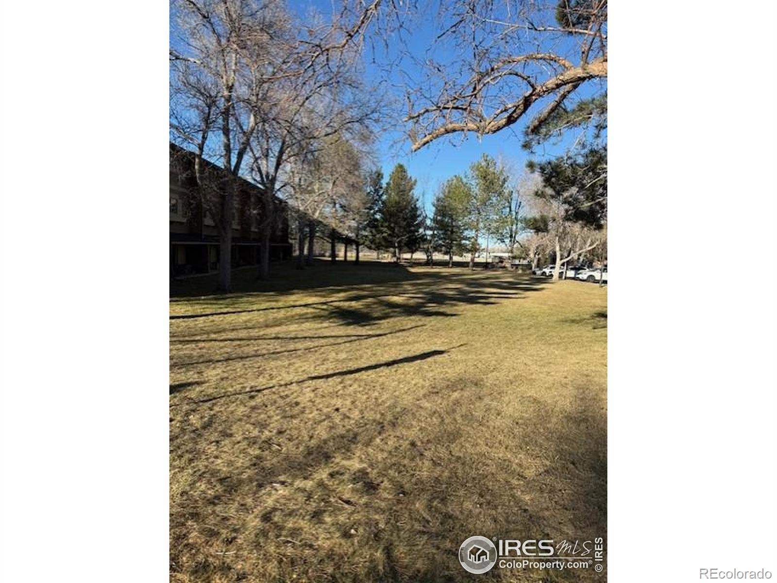 3161 Madison Avenue Boulder CO 80303