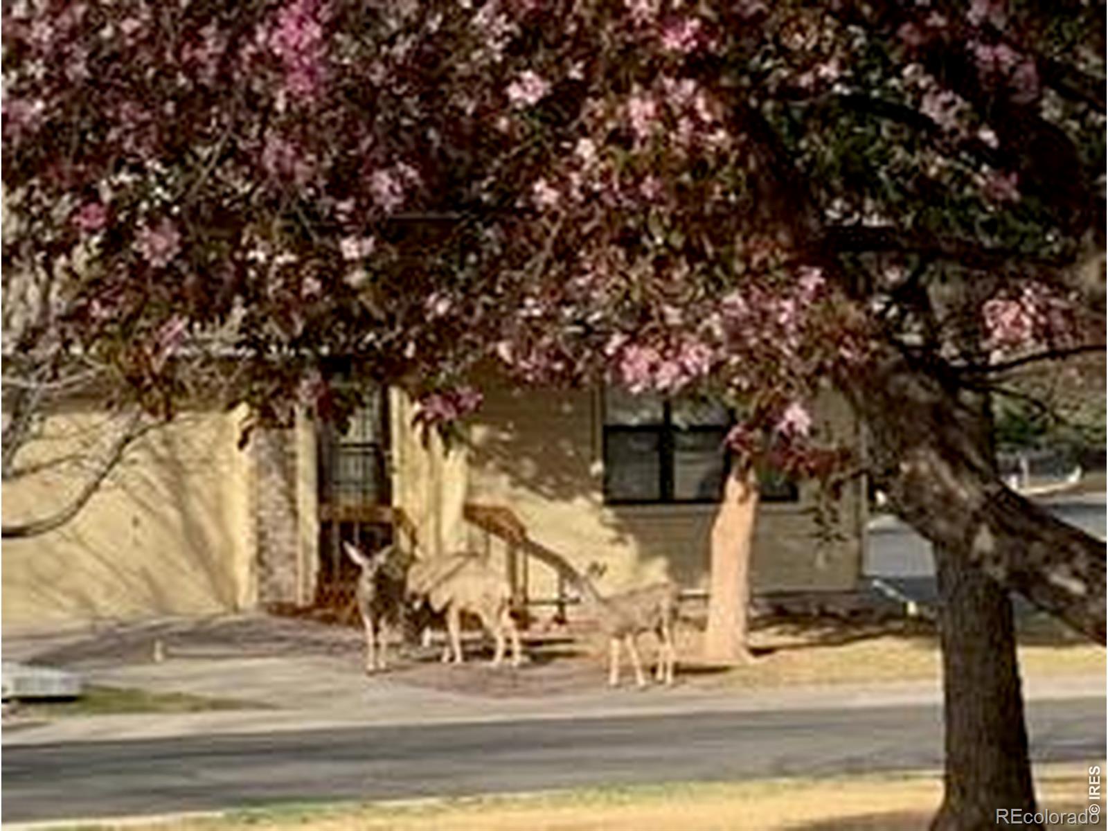 824 Chetwood Court Fort Collins CO 80526