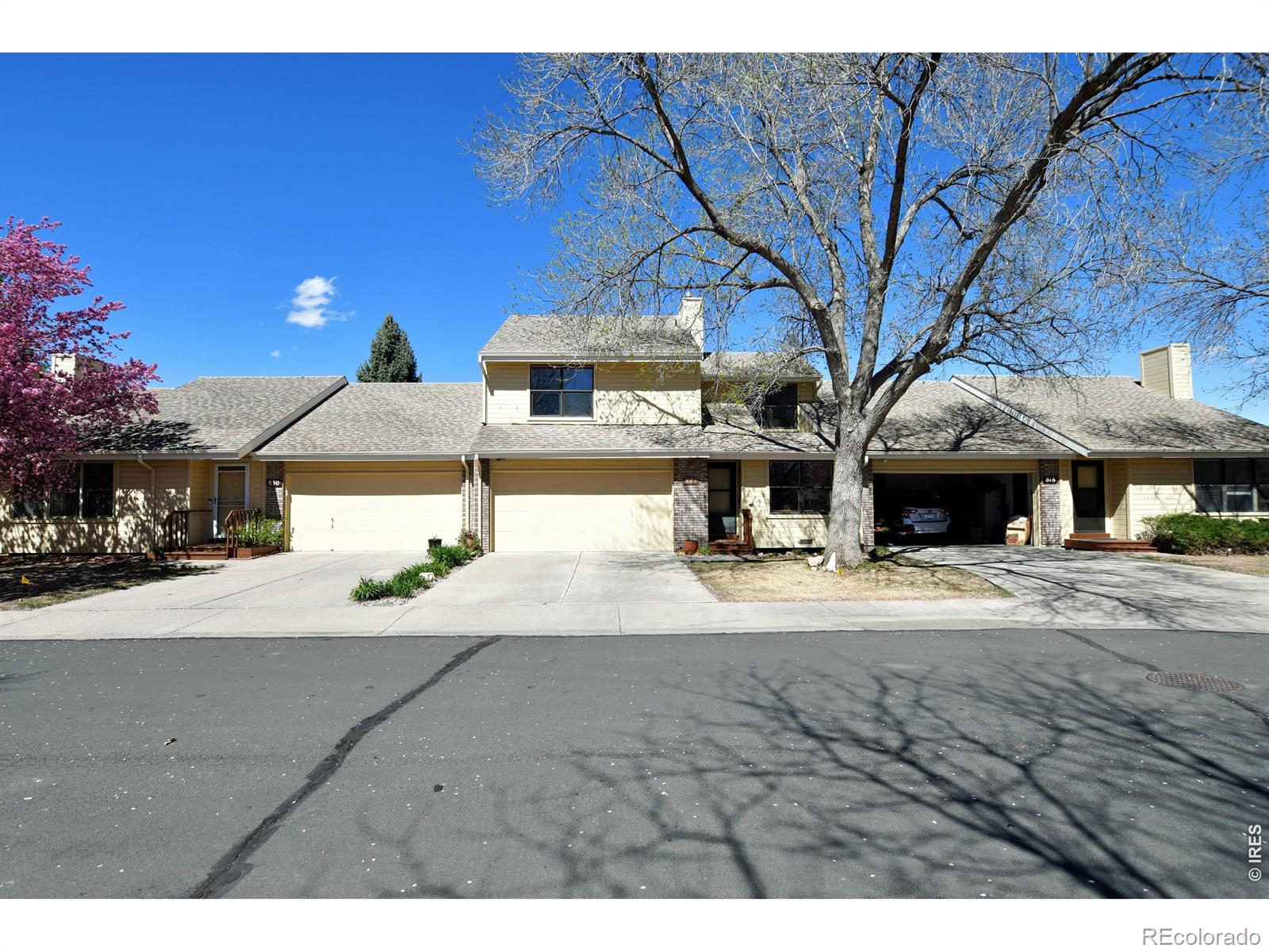 824 Chetwood Court Fort Collins CO 80526