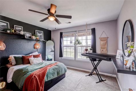 1458 Nemrick Place Castle Rock CO 80109