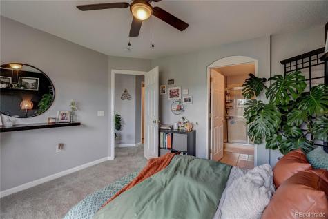 1458 Nemrick Place Castle Rock CO 80109