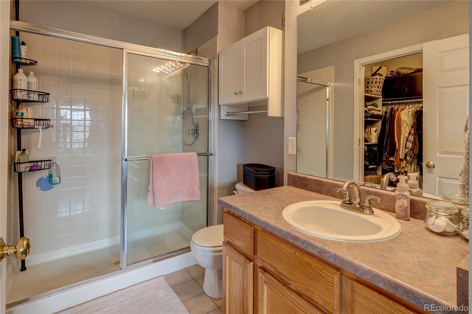 1458 Nemrick Place Castle Rock CO 80109