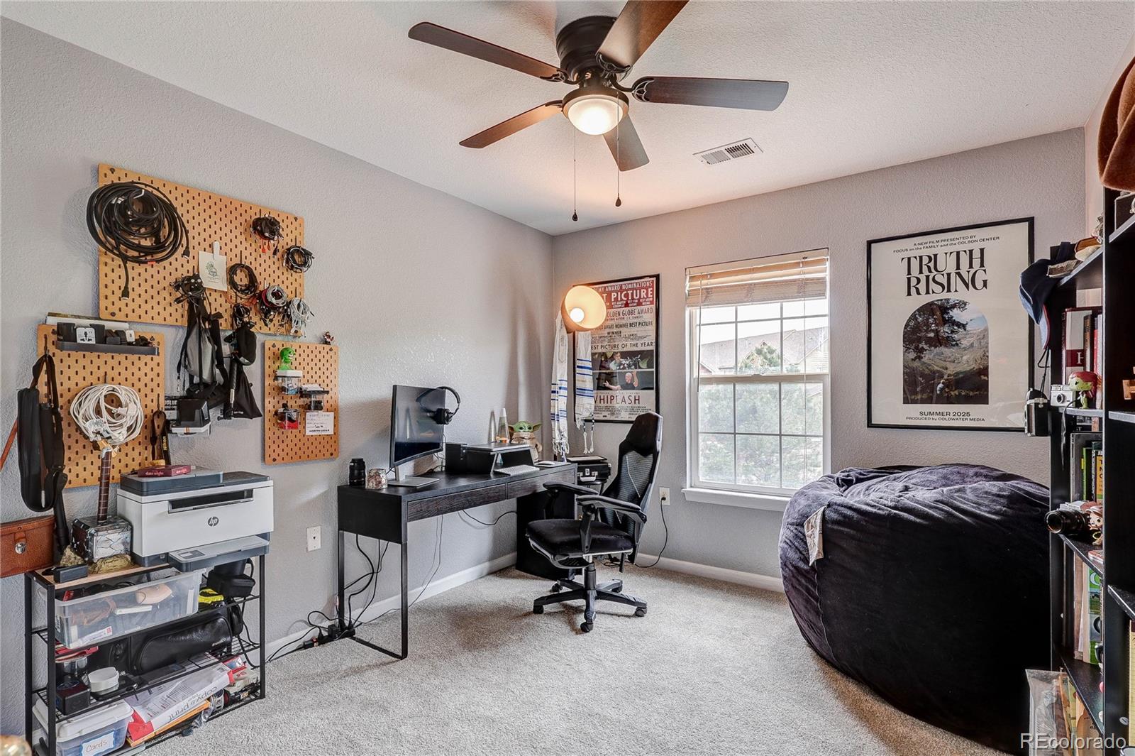 1458 Nemrick Place Castle Rock CO 80109