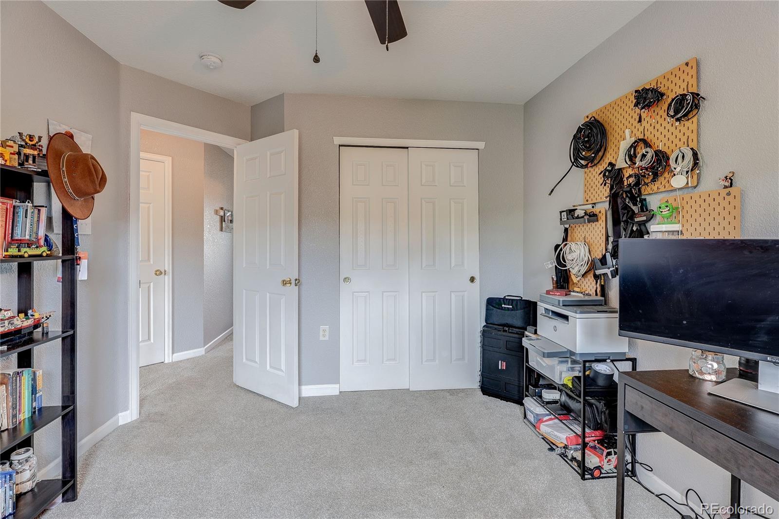 1458 Nemrick Place Castle Rock CO 80109
