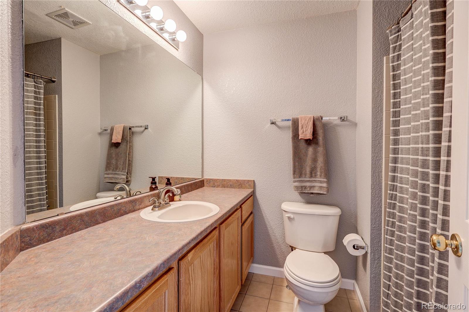 1458 Nemrick Place Castle Rock CO 80109