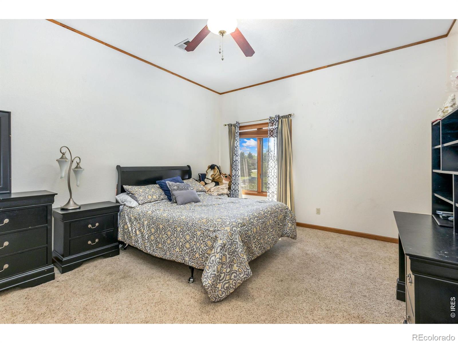 2305 46th Ave Court Greeley CO 80634