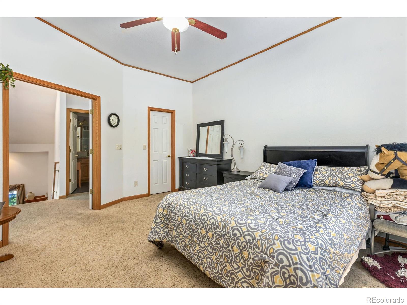 2305 46th Ave Court Greeley CO 80634