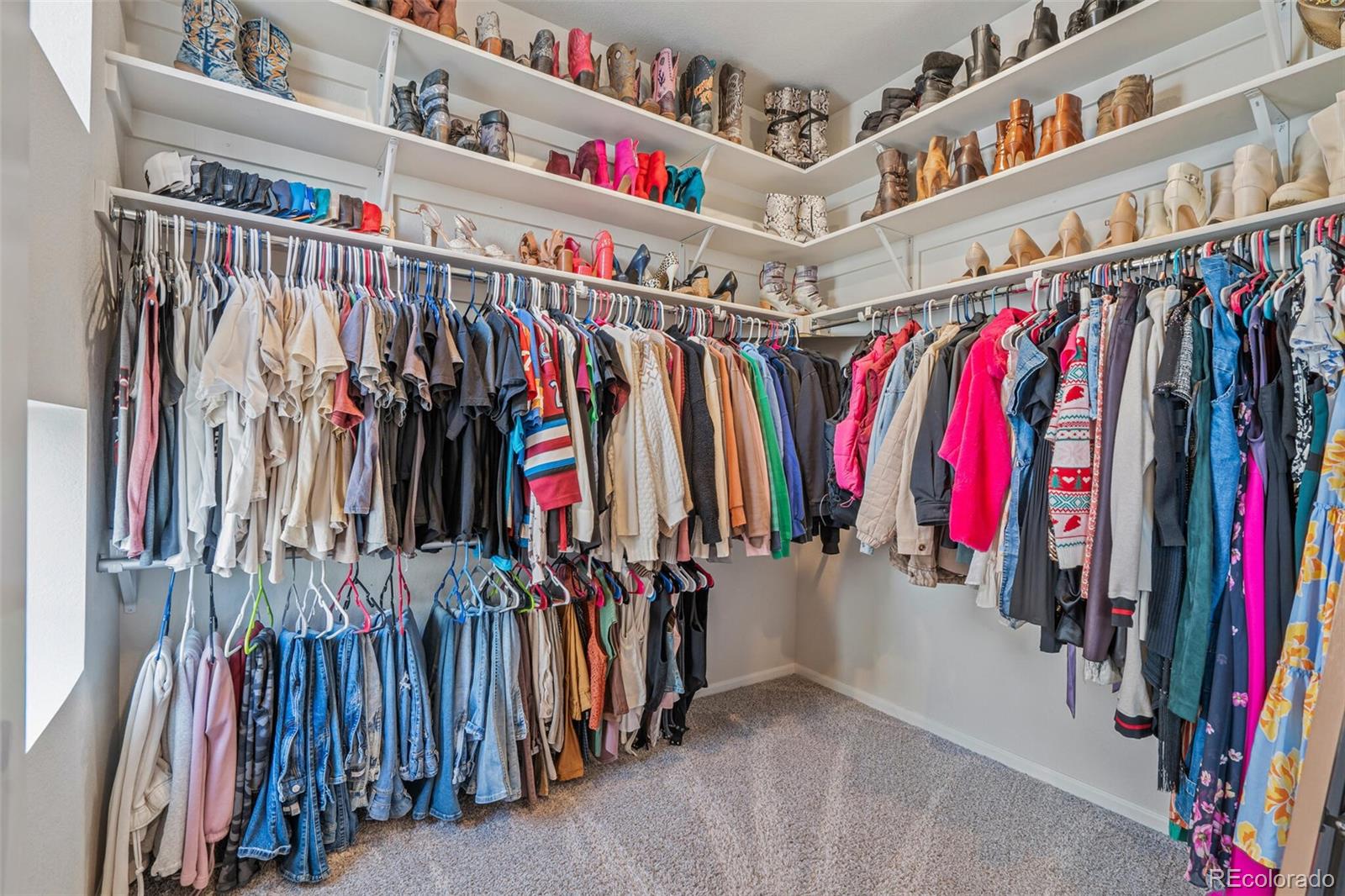 12213 W 57th Lane Arvada CO 80002
